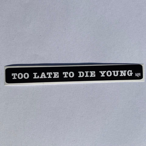 Too Late To Die Young Script